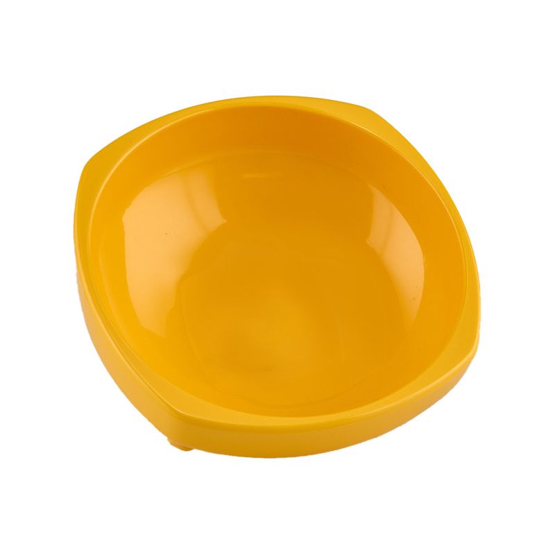 Prancheta_25