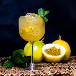 Taça de Gin 510ml Natural em Policarbonato Linha Salut VEM