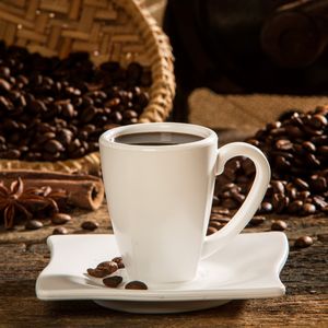 Xícara Elegance Para Café 80ml Branca em Policarbonato Linha Profissional Cook