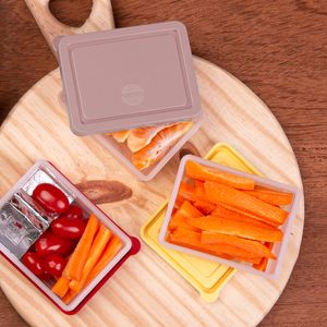 Pote Box Organize Rose em Polipropileno
