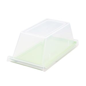 Bandeja Servir Retangular Com Tampa 15x30 Verde em Polipropileno Linha Tropical Vemplast