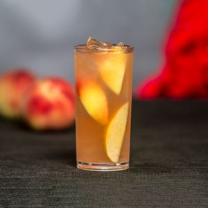 Copo Long Drink 300ml Natural em Policarbonato