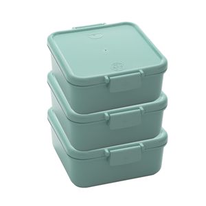 Conjunto 3 Potes Herméticos Composê 750ml Verde em Polipropileno