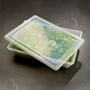 Tampa Para Travessa Stillo 27x40 Natural em Polipropileno